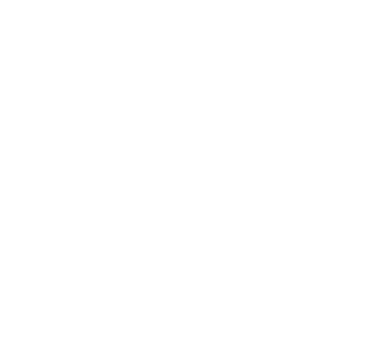 Logo white